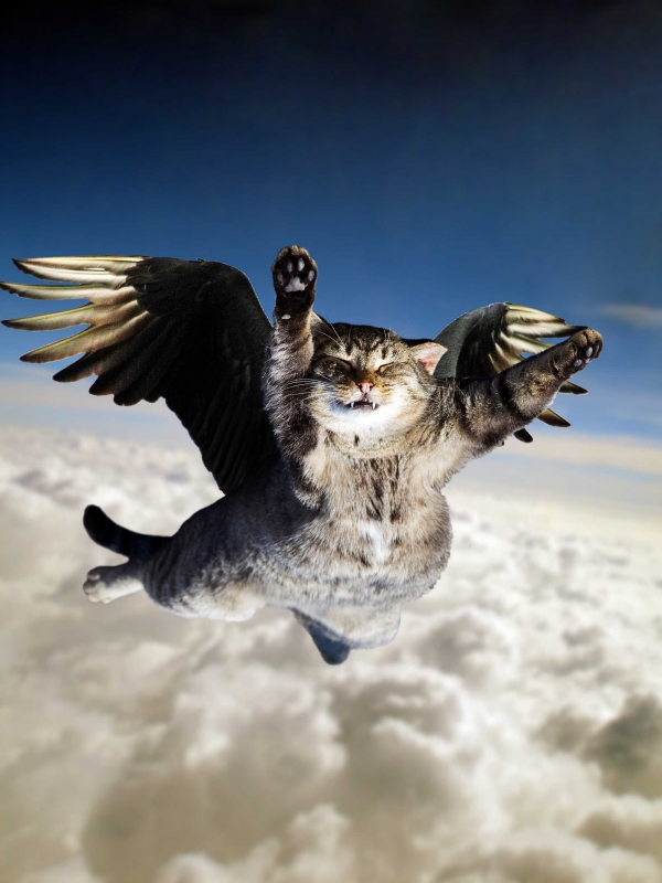 Creation of sky blind: Step 2